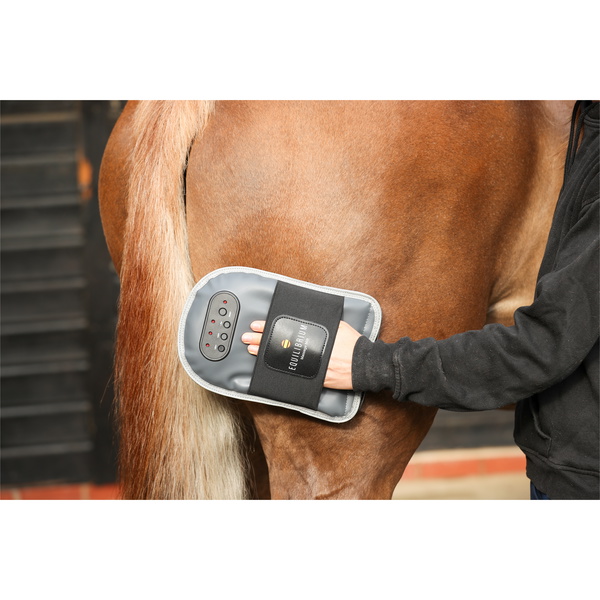 Equilibrium Massage Mitt - Grey